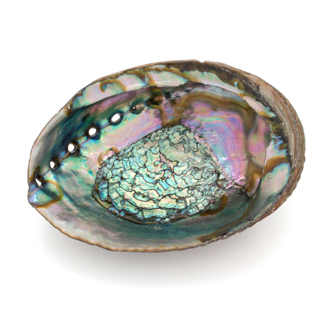 Hiouchi Jewels - Abalone Shell