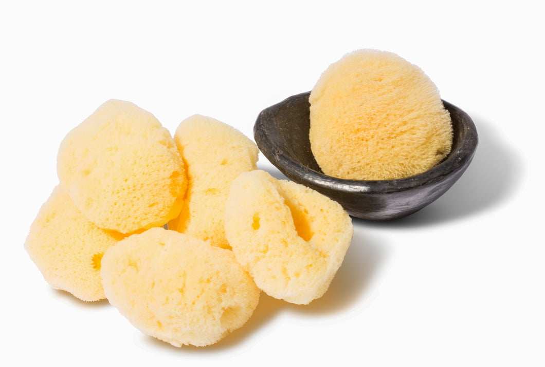 Katari Beauty - Cleansing & Exfoliating Sponge | Silky Soft Sea Sponge
